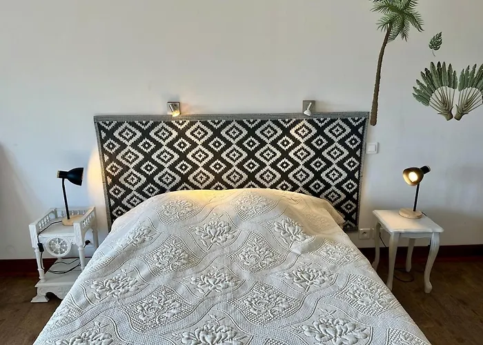 Le Du Clos D'andre 카스텔나우다리